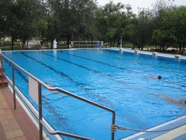 Das Schwimmbecken